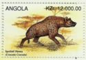 Spotted Hyena (Crocuta crocuta)