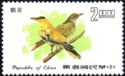 Black-naped Oriole (Oriolus chinensis) 