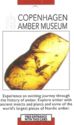 Copenhagen Amber Museum