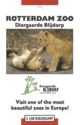 Diergaarde Blijdorp - Rotterdam Zoo