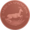 1 Cedi (Springbok)