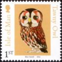 Tawny Owl (Strix aluco)