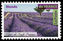 Lavander Fields in Alpes de Haute Provence
