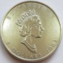 5 Dollars (Maple Leaf Bullion)