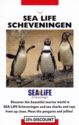 Sea Life Scheveningen
