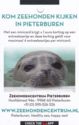 Zeehondencentrum Pieterburen