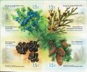 Flora of Russia - Cones of Coniferous Trees & Shrubs (2013)