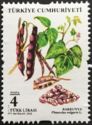 Legumes : Kidney Beans