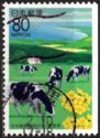 Holstein Cattle (Bos primigenius taurus), Dairy Industry