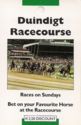 Duindigt - Racecourse