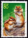 Siberian Chipmunk (Eutamias sibiricus)
