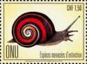 Cuban land snail (Polymita picta)