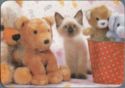 Siamese Kitten and Toys