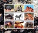 African Animals
