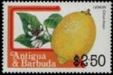 Lemon (Citrus limon)