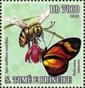Heliconius nattereri, Apis mellifera scutella