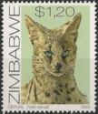 Serval (Leptailurus serval)