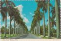 Fort Myers. Palm lined McGregor Boulevard