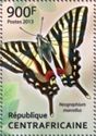 Zebra Swallowtail (Neographium marcellus)