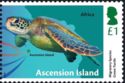 Migratory Species : Green Turtle