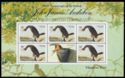 Double-crested Cormorant (Nannopterum auritum) Sheet