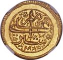 1 Mohur (Hammered Coinage)