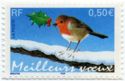 European Robin (Erithacus rubecula) self-adhesive