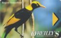 O'reilly's Rainforrest Guesthouse - Regent Bowerbird