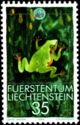 European Tree Frog (Hyla arborea)
