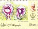 Orchids of Malaysia