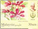 Orchids of Malaysia