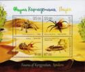 Fauna of Kyrgyzstan - Spiders (and Scorpions)