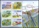 Dragonflies 