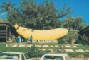 The Big Banana at Coffs Harbour