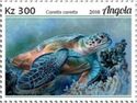 Loggerhead Sea Turtle (Caretta caretta)