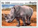 White Rhinoceros (Ceratotherium simum)