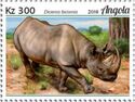 Black Rhinoceros (Diceros bicornis)