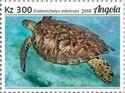 Hawksbill Sea Turtle (Eretmochelys imbricata)