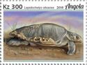 Olive Ridley Sea Turtle (Lepidochelys olivacea)
