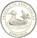 1 Kuruş (White-headed duck - Dikkuyruk - O. leucocephala)