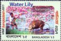 Water Lilies, Narsingdi