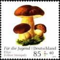Porcini (Boletus edulis)