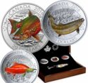 20 Dollars (Canadian Salmonids –Arctic Char)