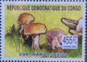 Cortinarius varius