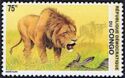 Lion (Panthera leo)