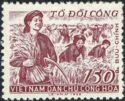 Harvesting Rice