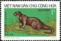 Eurasian Otter (Lutra lutra)