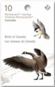 Birds of Canada
