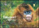 Golden Snub-nosed Monkey (Rhinopithecus roxellana) (s.sheet)