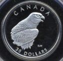 30 Dollars (Wildlife platinum series. Falcon)